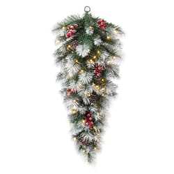 Glitzhome 1 ft. L LED Prelit Warm White Pinecones and Red Berries Christmas Teardrop Swag