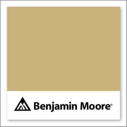 Benjamin Moore Westwood Tan 256