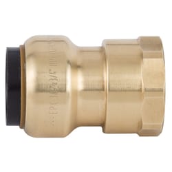 Apollo Tectite Push to Connect 3/4 in. PTC in to X 3/4 in. D FPT Brass Adapter