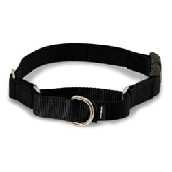 PetSafe Black Nylon Dog Collar Medium