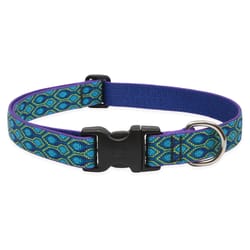 Lupine Pet Original Designs Multicolor Rain Song Nylon Dog Adjustable Collar