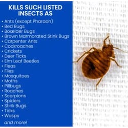 BioAdvanced Home Pest Bed Bug and Flea Killer Continuous Spray 15.7 oz