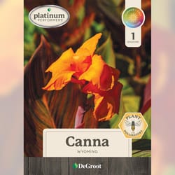 DeGroot Canna Bulb 1 pk