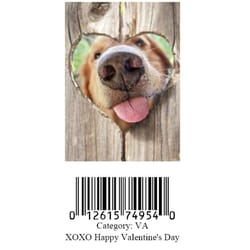Avanti Press Dog Nose In Fence Greeting Cards Paper 1 pk