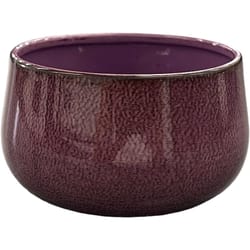 Robert Allen 4 in. D Steel Mini Bella Bowl Planter Purple