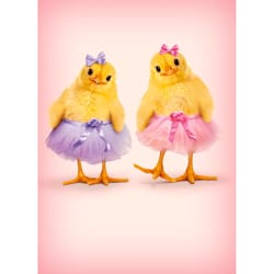 Avanti Seasonal Two Chicks In Tutus Cute Easter Card Paper 2 pc