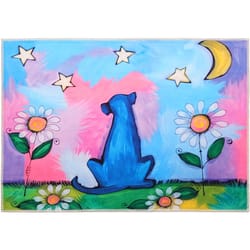 Olivia's Home 22 in. W X 32 in. L Multicolored Jenny and the Night Stars Polyester Accent Rug