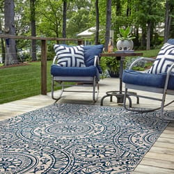 Linon Home Decor Cenyon 5 ft. W X 7 ft. L Blue/Cream Coastal Polyester Accent Rug