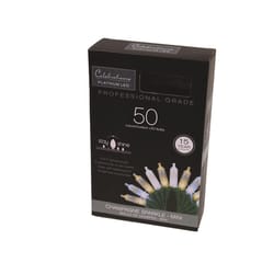 Celebrations Platinum LED T5 Champagne 50 ct String Christmas Lights 25 ft.