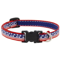 LupinePet MicroBatch Multicolored Stars and Stripes Nylon Dog Adjustable Collar