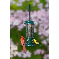 Brome Bird Care SquirrelBuster Songbird 0.75 lb Metal/Plastic Bird Feeder 4 ports