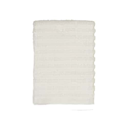 Ritz Royale White Solid Cotton Dish Cloth (Set of 3)