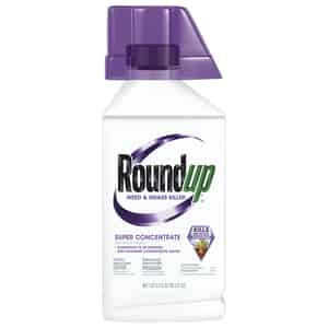 Roundup  Weed and Grass Killer  35.2 oz. 