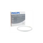 Philips 40 W T9 1.125 in. D X 16 in. L Circline Fluorescent Bulb Cool White Circular 4100 K 1 pk Mfr 391185 Ace Hardware