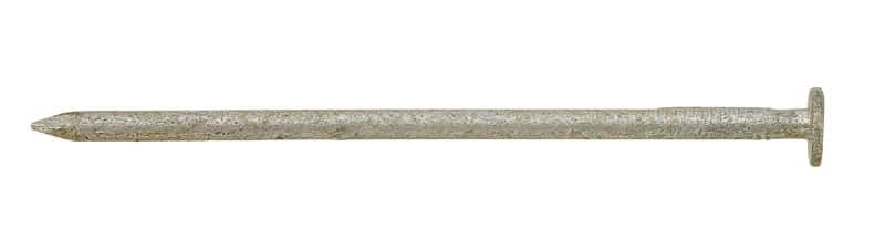 Ace 10D 3 in. Common Hot-Dipped Galvanized Steel Nail Flat Head 5 lb Ace 10D 3 in. Common Hot-Dipped Galvanized Steel Nail Flat Head 5 lb