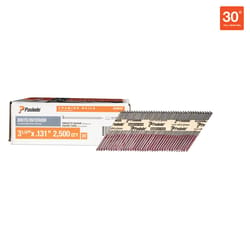 Paslode RounDrive 3-1/4 in. L Straight Strip Brite Framing Nails 30 deg 2500 pk