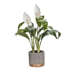 DW Silks 21 in. H X 14 in. W X 14 in. D Polyethylene Peace Lilies Faux Plant Gold/Gray