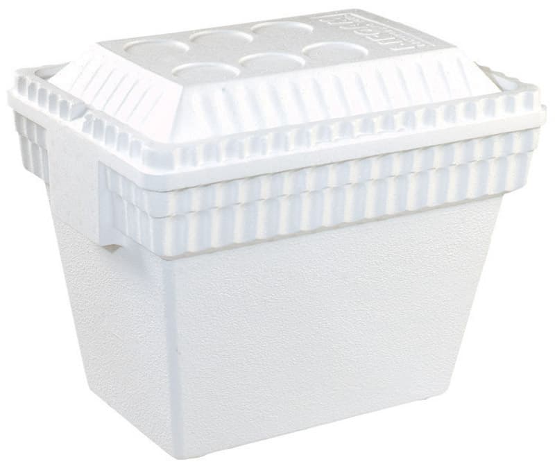 disposable cooler near me