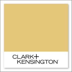 Clark+Kensington Citron 21B-5