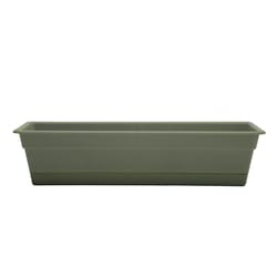 Bloem Dura Cotta 5.75 in. H X 30 in. W X 7.5 in. D Plastic Window Box Living Green