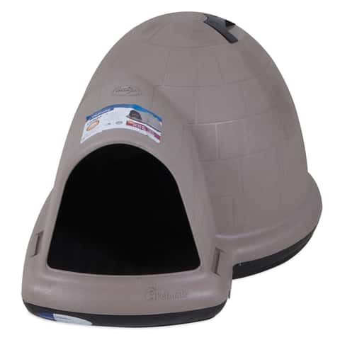 Dog house ace hot sale hardware