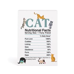 P Graham Dunn 7 in. H X 2 in. W X 6 in. L White Wood Cat Nutritional Facts Word Block