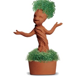 Chia Pet Guardians of the Galaxy Decorative Planter Clay 1 pk