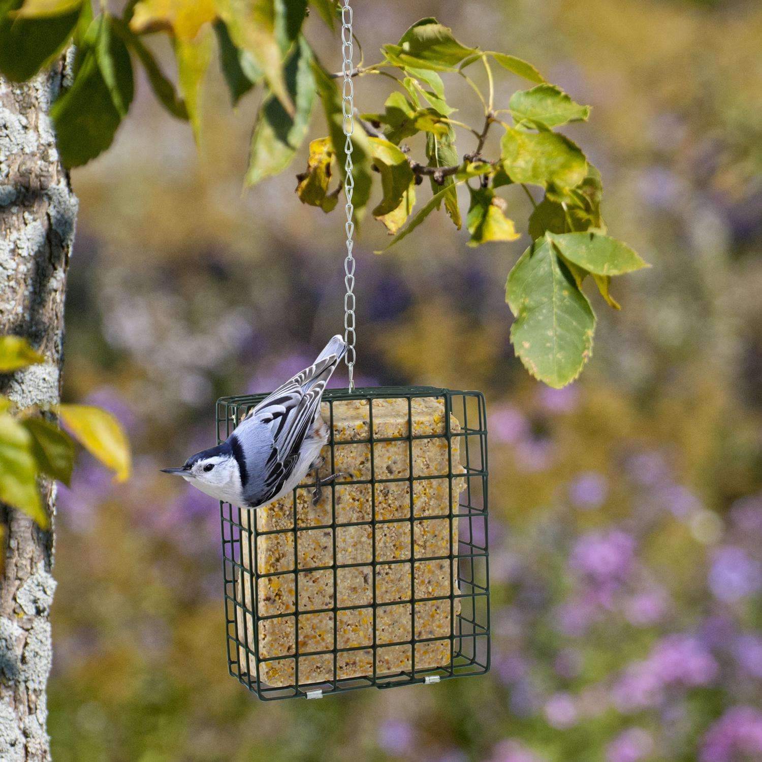 Woodlink Large Wild Bird Metal Suet Cage