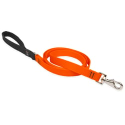 Lupine Pet Basic Solids Blaze Orange Blaze Orange Nylon Dog Leash