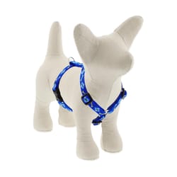 LupinePet Original Designs Multicolored Dapper Dog Nylon Dog Harness