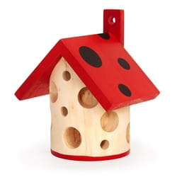 Kikkerland 2.4 in. H X 3.9 in. W X 3.9 in. L Wood Insect House