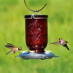 Perky-Pet Hummingbird 32 oz Glass/Metal Mason Jar Nectar Bird Feeder 5 ports