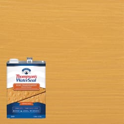 Thompson's WaterSeal Semi-Transparent Chestnut Brown Waterproofing