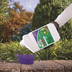 Bonide Weed Beater Weed Killer Concentrate 32 oz