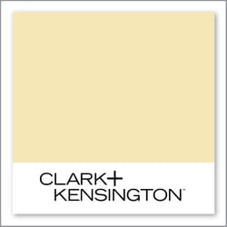 Clark+Kensington Exude Confidence 21B-3