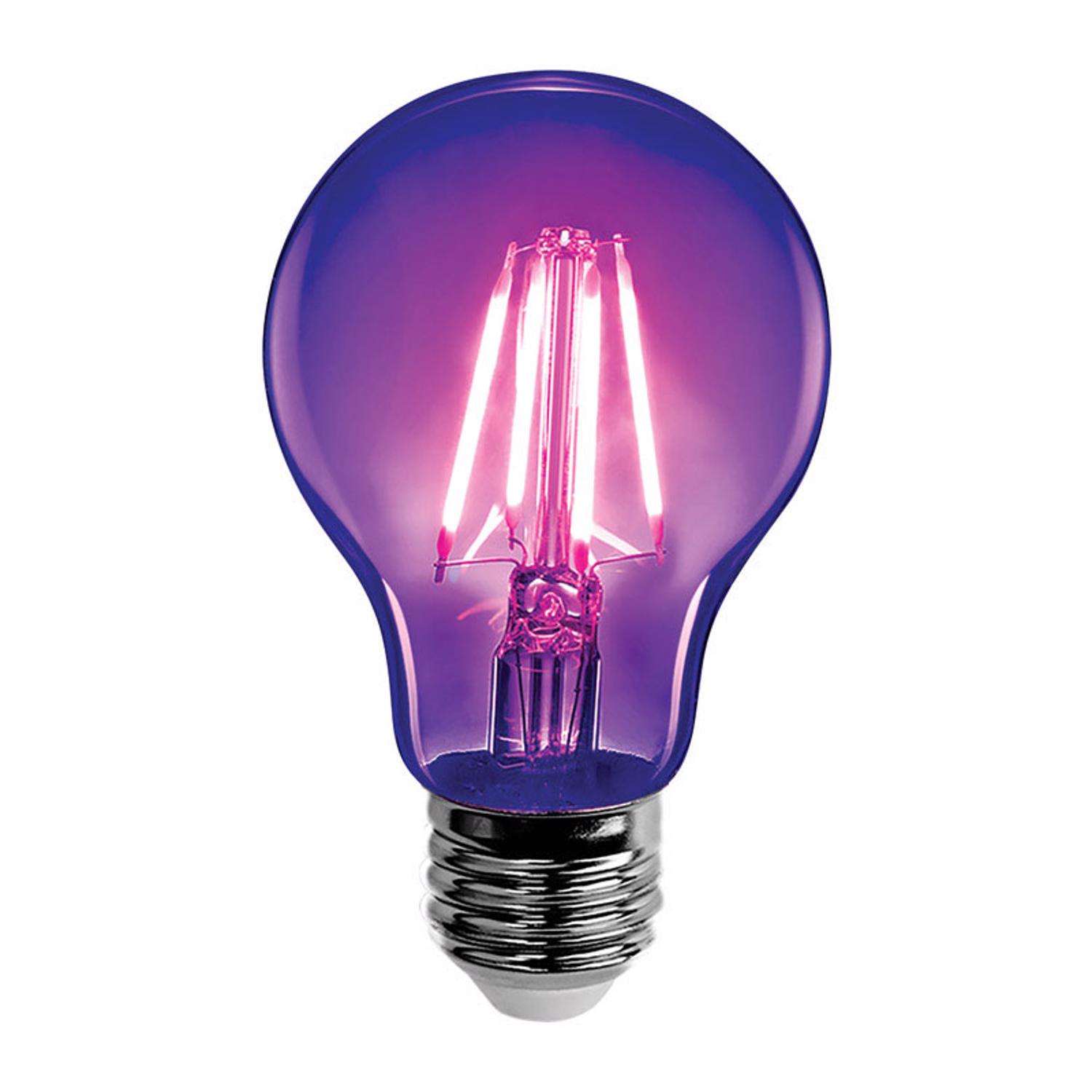 purple light bulb