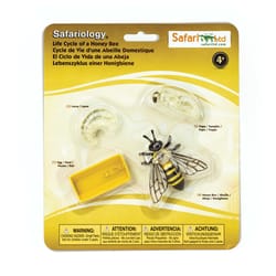 Safari Ltd. Safariology Honey Bee life cycle Multicolored