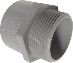 Cantex 1-1/4 in. D PVC Male Adapter For PVC 1 each