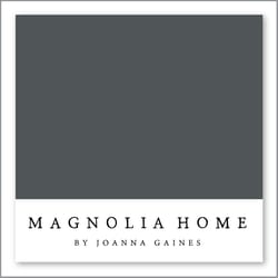 Magnolia Home by Joanna Gaines Fine Black MAG133