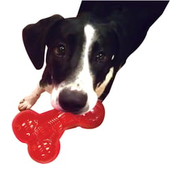 Spot Play Strong Red Solid TPR Rubber Bone 1 pk