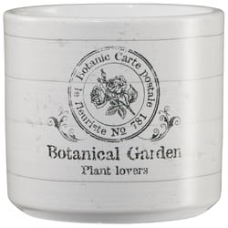 SK 3.15 in. H X 3.9 in. D Clay Vintage Botancial Garden Ceramic Pot White