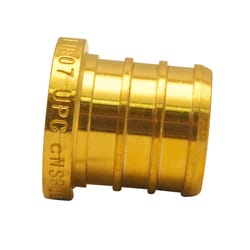 Apollo 3/4 in. PEX Barb in to X 3/4 in. D Brass Plug