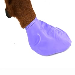 PawZ Purple Dog Boots Large