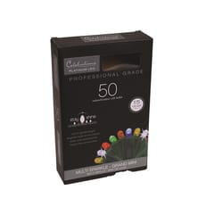 Celebrations Platinum LED Mini Multicolored 50 ct String Christmas Lights 25 ft.