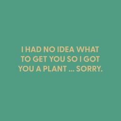 Chive Blank Greeting Card I Had No Idea What to Get You So I Got You a Plant... Sorry