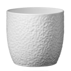 SK 5.9 in. H X 6.3 in. D Clay Boston Ceramic Pot White