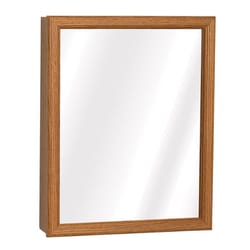 Zenna Home 19.25 in. H X 15.5 in. W X 4.5 in. D Rectangle Medicine Cabinet/Mirror