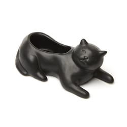 Kikkerland 2.4 in. H X 2.6 in. W X 5.7 in. D Ceramic Cosmo the Black Cat Planter black