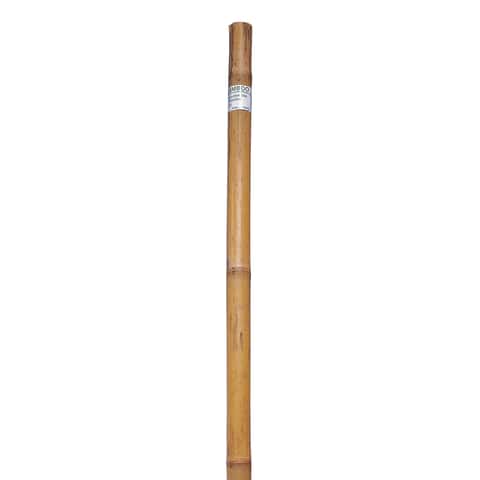 Bond 6 ft. H X 1/2 in. W Green Bamboo Garden Stakes