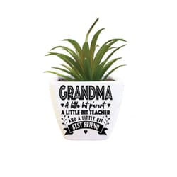 Sentiment Succulents 4 in. H X 2.25 in. L Multicolored Plastic Planter